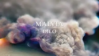 DILO! - Malvia (Álbum completo)