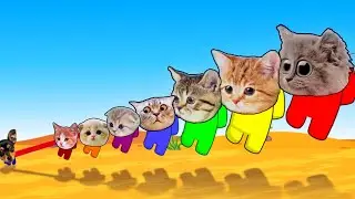 (Mini Crew Baby Cats) Among us Adventures distraction dance animation