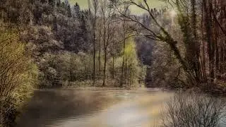 Relax In Nature - 12 Hours Long - Music for Relaxation - Sleep - Massage - Back Ground Work Music