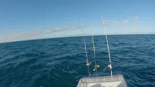 Pine Harbour to Great Barrier Island Fishing Trip