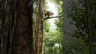 Monkey Carries Rabbit Up a Tree to Escape Wolves | Amazing Wildlife Rescue #WildlifeRescue