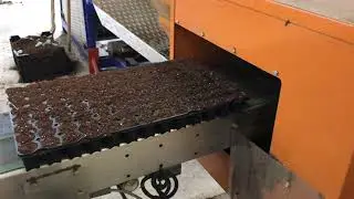 Javo Rotofill tray filling machine