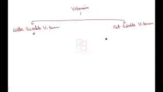 Water Soluble and Fat Soluble Vitamins| Types of Vitamins | Vitamin A, B, C, D, E, K #vitamins