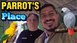 AVES RARAS COMO VOCÊ NUNCA VIU.