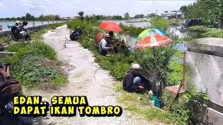 BASISNYA IKAN MAS LIAR! Mancing di sembarang tempat 90% dapat