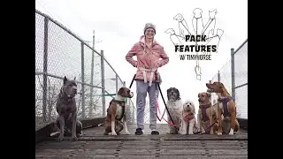 Pack Features w/ TinyHorse
