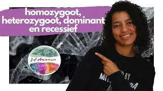 Homozygoot, heterozygoot, dominant en recessief - erfelijkheid (vmbo)