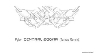 Pylon - Central Dogma (Tamas Remix) [clip]