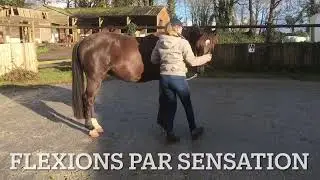 Mise en route et am&eacute;lioration du reculer &agrave; distance