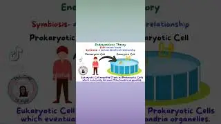 Endosymbiotic Theory #symbiosis #evolution #bacteria #biology #science #teacherresources #cells