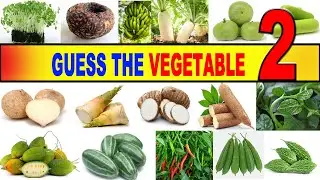 Guess the Vegetable Challenge! 🥕🥦 | Fun Quiz Challenge!