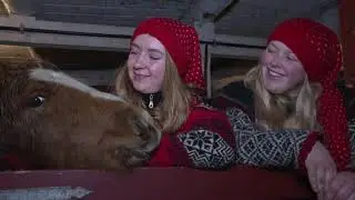 Nissene i Eriklia, Hustadvika. Julen 2020