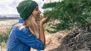 Хайкинг в Калифорниской сказке 🌲 Mammoth Lakes