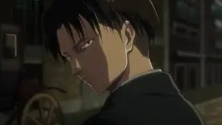 Levi Twixtor