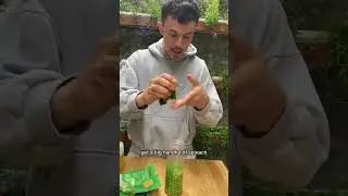 Viral Green Pasta Recipe | Easy & Healthy Pea Pur&eacute;e Pasta | 10-Minute Meal