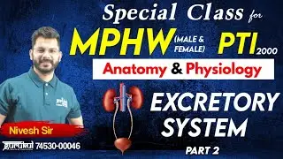 BFUHS Recruitment 2025 | MPHW Vacancy Punjab | PTI 2000 Posts | Excretory System