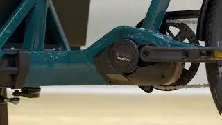 Cargoline 5 800 - Flexible and modular cargo e-bike