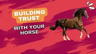 Building Trust with Your Horse