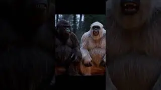Bigfoot Video With Veo 3  #fy #memes #funny #fypofficial #bigfoot #viralvideo