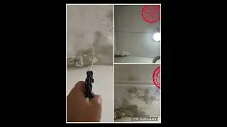 How to remove mould from bathroom ceiling ?