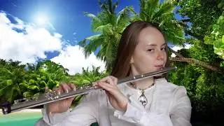 He's a Pirate (Flute Cover) + Sheet Music