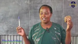 Comparing Weight: Grade 1 Math Lesson