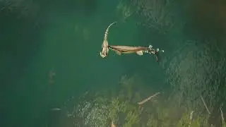 Path of Titans - Tylosaurus clamp a Barsboldia (001)