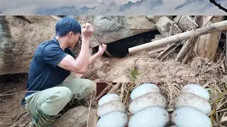Farm Warmth: Chickens, Liquor, & Grilled Meat | T&agrave; X&ugrave;a Daily Life