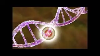Relocating Mitochondrial Genes to the Nucleus