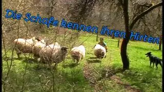 Herrenwalder Leben