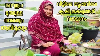 മനസ്സറിഞ്ഞ് കൃഷിചെയ്താൽ ലക്ഷങ്ങൾ സമ്പാദിക്കാം | Small scale business ideas for women #lotus #lilly
