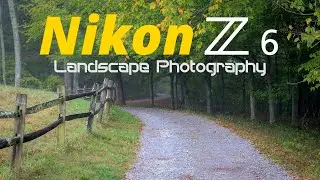 Nikon Z6 Autumn Morning Landscape Photography