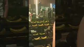 official ankit pal gym 🏋️&zwj;♀️ 💪 ❤️