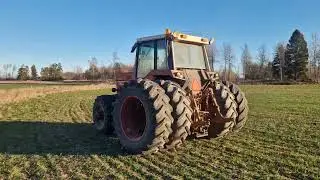 Veterantraktor - IH International 1486 4x4 | 9678502