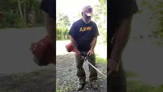 &ldquo;Satisfying Lawn Mow & Edge | Relaxing Cleanup&rdquo;