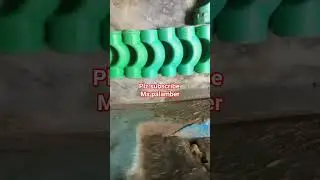 new short video Ms palamber