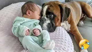 A dog's love for a baby - Heartwarming moments! 🥀 #funny_videos #funny_animals #animals