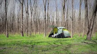 WAWONA 4 RAIN CAMPING through a Spring Thunderstorm in a Beautiful Forest