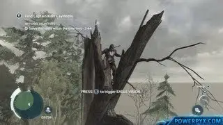 Assassin's Creed 3 - Руководство по трофею/достижениям &laquo;Перчатки Кидда&raquo; (прохождение острова Оук)