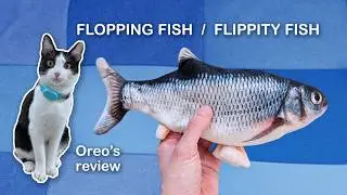 FLOPPING FISH (FLIPPITY FISH) and kitten Oreo's review #oreothecat #cat