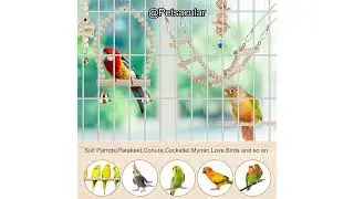 Bird Parrot Swing Toys Review: Are They Worth It for Your Small to Medium Birds?