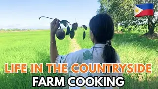 Cooking chicken feet at the farm |Picking star apple| life in the Philippines 🇵🇭 