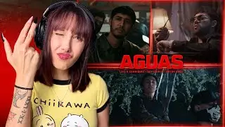 (REACCI&Oacute;N)Luis R Conriquez, Neton Vega, Rey Quinto - Aguas (REACCI&Oacute;N)