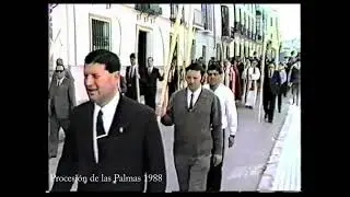 1988 Palmas