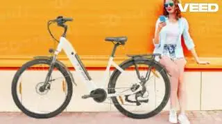 TTGO C7(ZZ-28ST) Electric Bike, 250W Motor, 36V 20Ah Battery 700C*45C Tire 25km/h Max Speed  EU9.NL