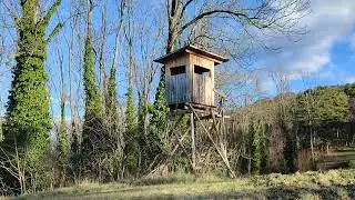 Sonne Wald B&auml;ume Feld Wiese Spaziergang Burg Pitten Hochstand