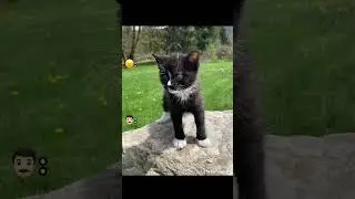 Моя токсичная бывшая жена часть 3