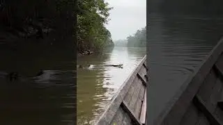 🐍 MASSIVE ANACONDA APPEARS NEAR MY BOAT (Amazon River) #shorts