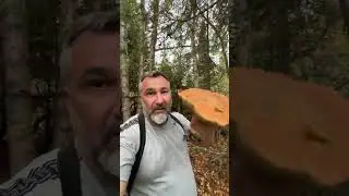 Рыбалка удалась