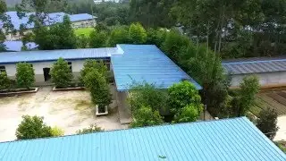 Pig farm in China.
